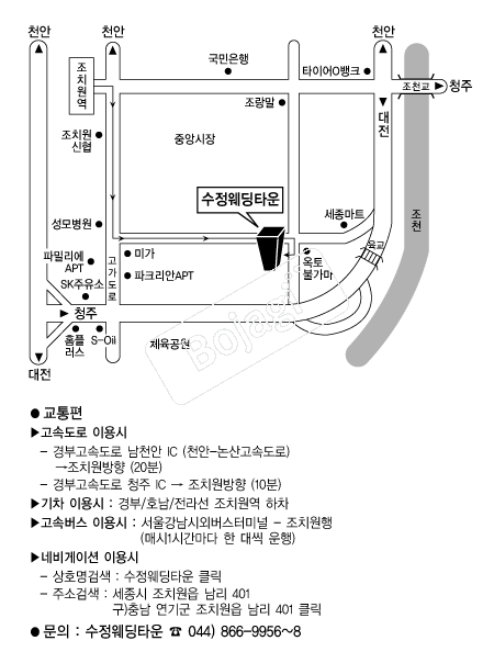 ��������Ÿ�� �൵ ���ڱ� ī�� ûø�� 