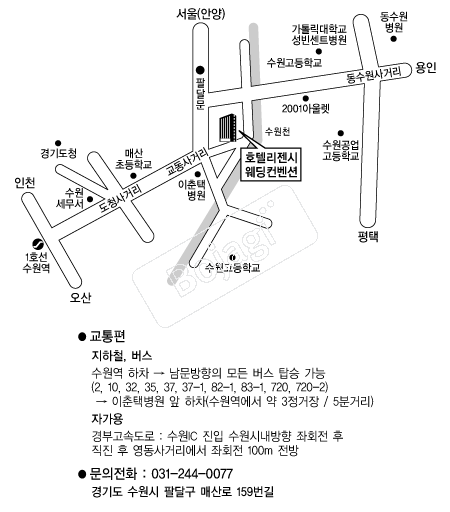 ȣ�ڸ����ÿ���Ȧ �൵ ���ڱ� ī�� ûø�� 