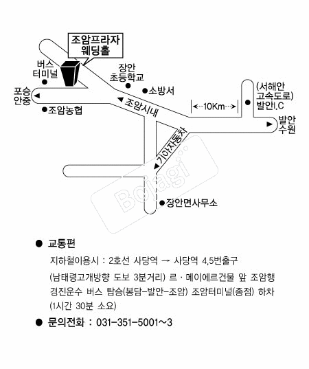 ���������ڿ���Ȧ �൵ ���ڱ� ī�� ûø�� 