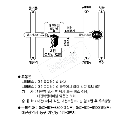 ȣ�ڼ������Ķ���̽�����Ȧ �൵ ���ڱ� ī�� ûø�� 
