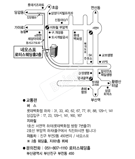 ���ͽ�����Ȧ �൵ ���ڱ� ī�� ûø�� 