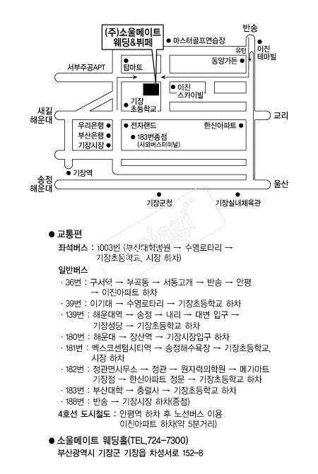 �ҿ����Ʈ�������� �൵ ���ڱ� ī�� ûø�� 
