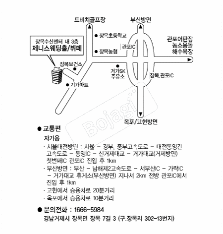 ���Ͻ�����Ȧ �൵ ���ڱ� ī�� ûø�� 