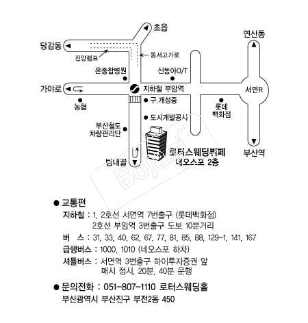 ���ͽ�����Ȧ �൵ ���ڱ� ī�� ûø�� 