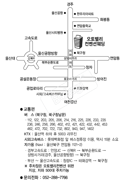 ����븮�����ǿ��� �൵ ���ڱ� ī�� ûø�� 