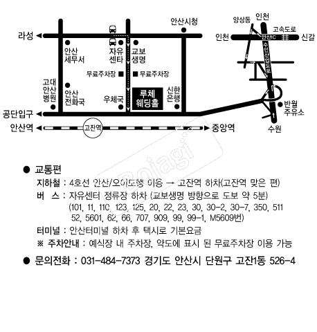 ��ü����Ȧ(�Ȼ�) �൵ ���ڱ� ī�� ûø�� 