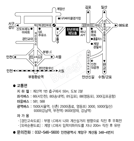 õ��������Ȧ(��õ) �൵ ���ڱ� ī�� ûø�� 