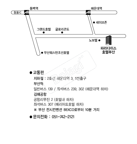 �Ķ���̽�ȣ�ںλ� �൵ ���ڱ� ī�� ûø�� 