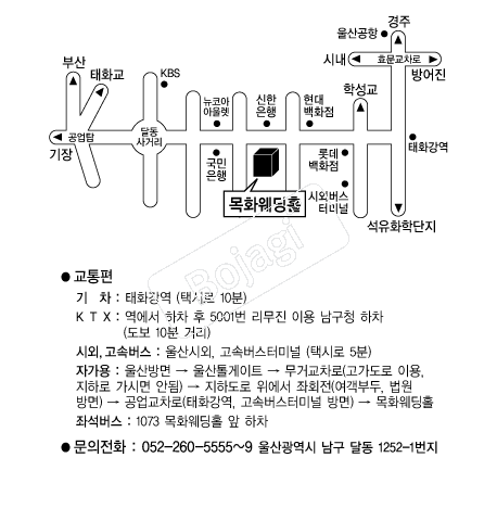 ��ȭ����Ȧ �൵ ���ڱ� ī�� ûø�� 