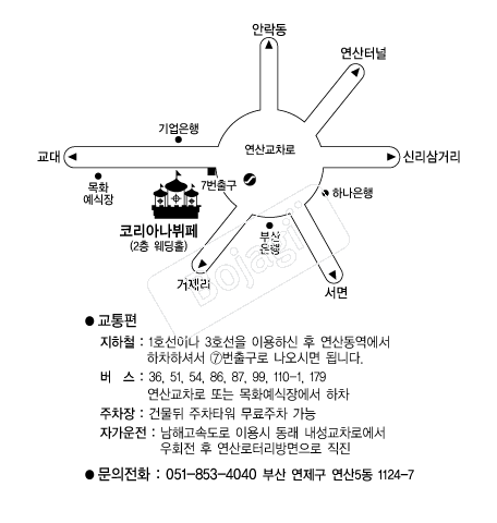 �ڸ��Ƴ����� �൵ ���ڱ� ī�� ûø�� 