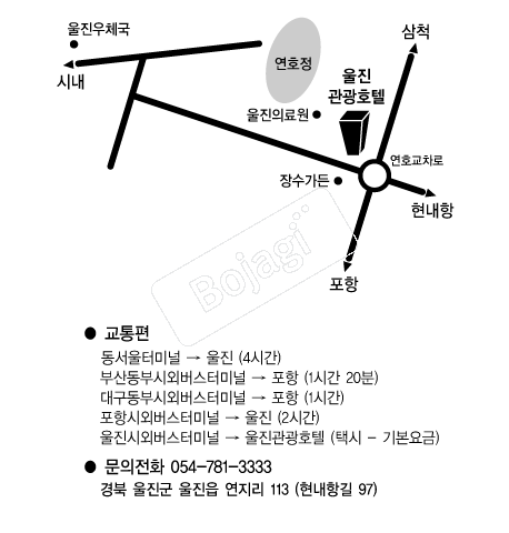 ��������ȣ�� �൵ ���ڱ� ī�� ûø�� 