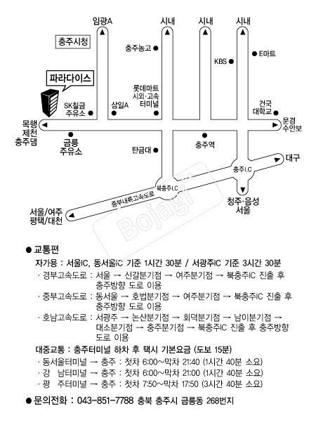 �Ķ���̽�����Ȧ �൵ ���ڱ� ī�� ûø�� 