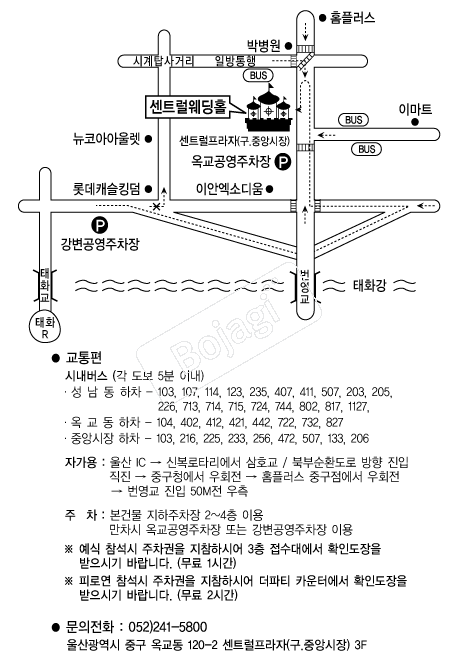 ��Ʈ������Ȧ �൵ ���ڱ� ī�� ûø�� 