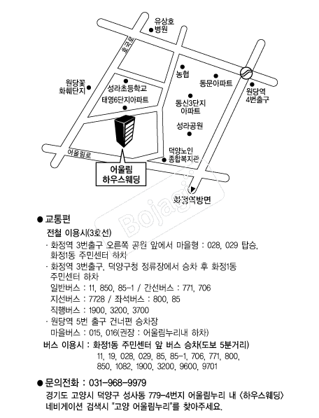 �����︲���� �൵ ���ڱ� ī�� ûø�� 