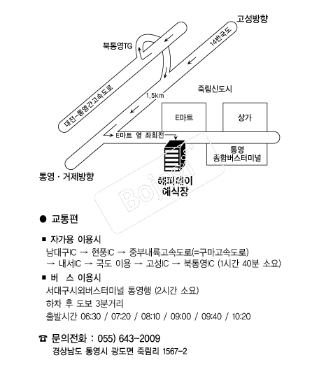���ǵ��̿���Ȧ �൵ ���ڱ� ī�� ûø�� 