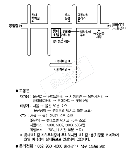 �Ե�ȣ��(���) �൵ ���ڱ� ī�� ûø�� 