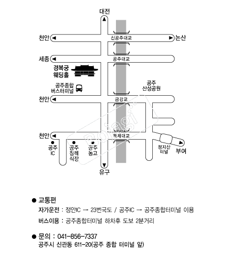 �溹�ÿ���Ȧ �൵ ���ڱ� ī�� ûø�� 