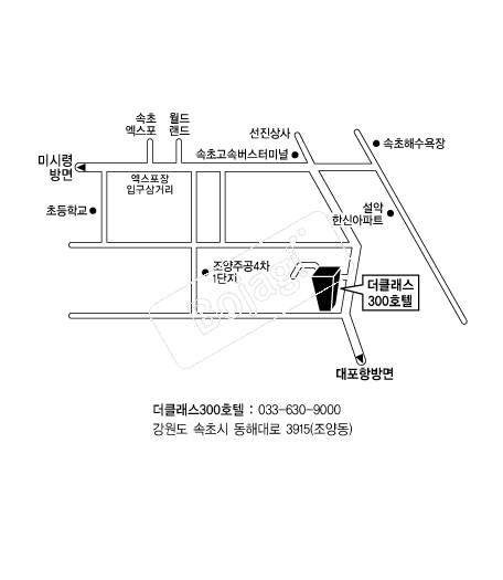 ��Ŭ����300ȣ�� �൵ ���ڱ� ī�� ûø�� 