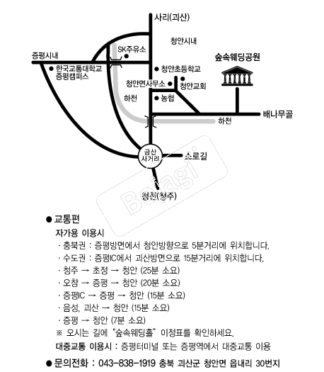���ӿ������� �൵ ���ڱ� ī�� ûø�� 
