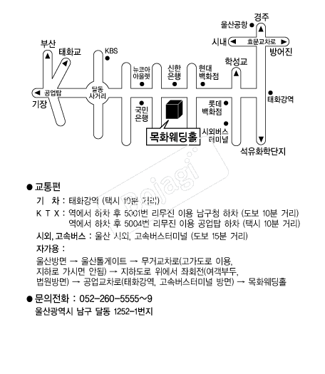 ��ȭ����Ȧ �൵ ���ڱ� ī�� ûø�� 