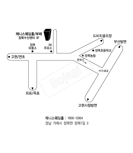 ���Ͻ�����Ȧ �൵ ���ڱ� ī�� ûø�� 