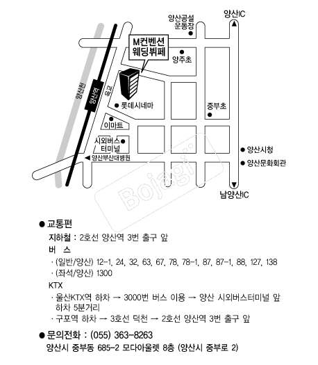 M�����ǿ�������(���) �൵ ���ڱ� ī�� ûø�� 