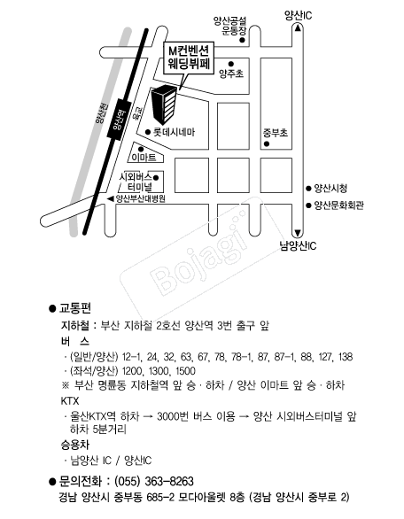 M�����ǿ�������(���) �൵ ���ڱ� ī�� ûø�� 