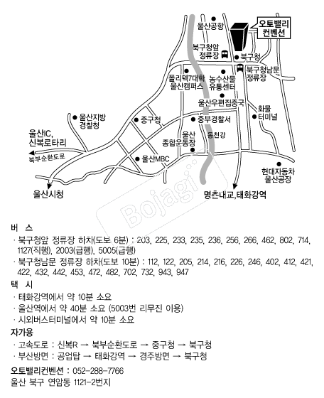 ����븮�����ǿ��� �൵ ���ڱ� ī�� ûø�� 