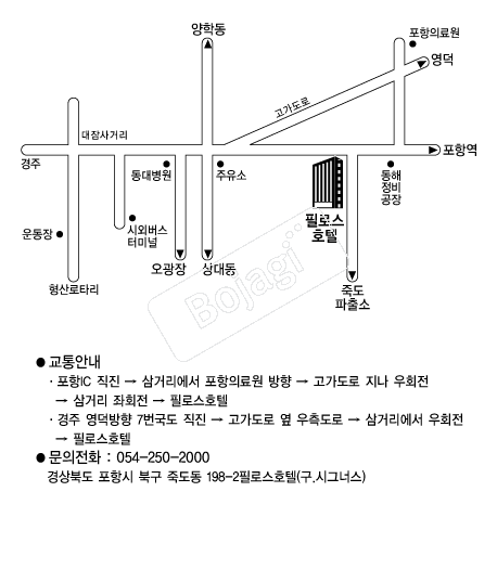 �ʷν�ȣ�� �൵ ���ڱ� ī�� ûø�� 