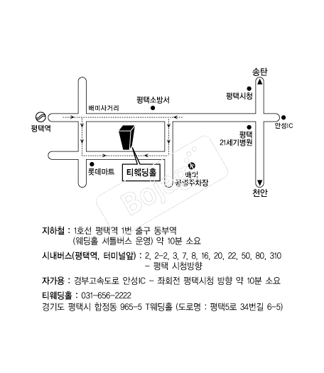 Ƽ����Ȧ �൵ ���ڱ� ī�� ûø�� 