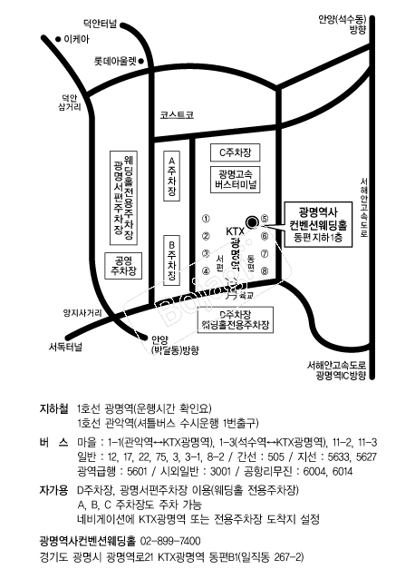 �������������ǿ���Ȧ �൵ ���ڱ� ī�� ûø�� 