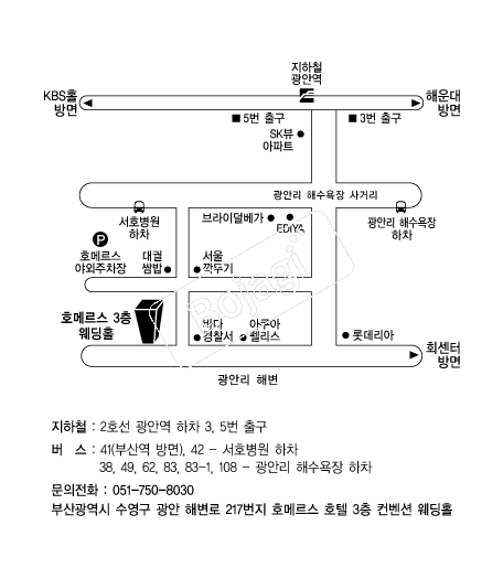 ȣ�޸���ȣ�� �൵ ���ڱ� ī�� ûø�� 