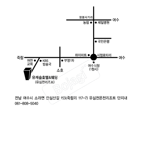 ��ĳ��ȣ�ڿ��� �൵ ���ڱ� ī�� ûø�� 