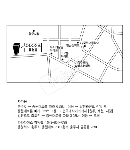 �Ķ���̽�����Ȧ �൵ ���ڱ� ī�� ûø�� 