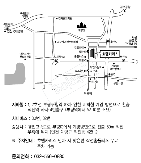 ȣ��ī���� �൵ ���ڱ� ī�� ûø�� 