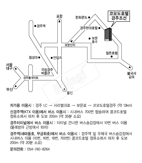 �ڸ�ȣ��(����) �൵ ���ڱ� ī�� ûø�� 