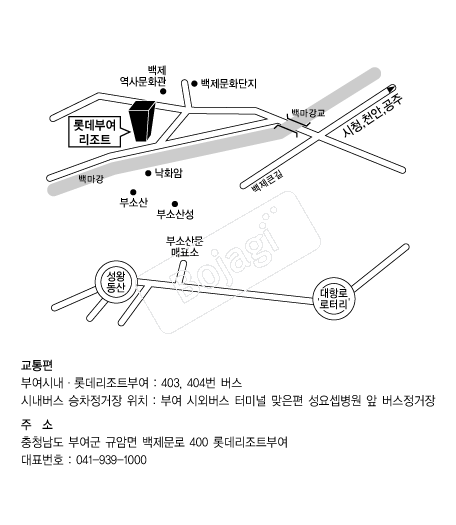 �Ե�����Ʈ(�ο�) �൵ ���ڱ� ī�� ûø�� 