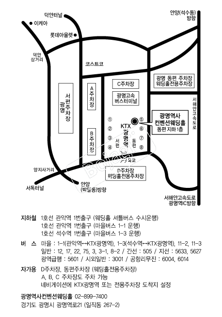 �������������ǿ���Ȧ �൵ ���ڱ� ī�� ûø�� 