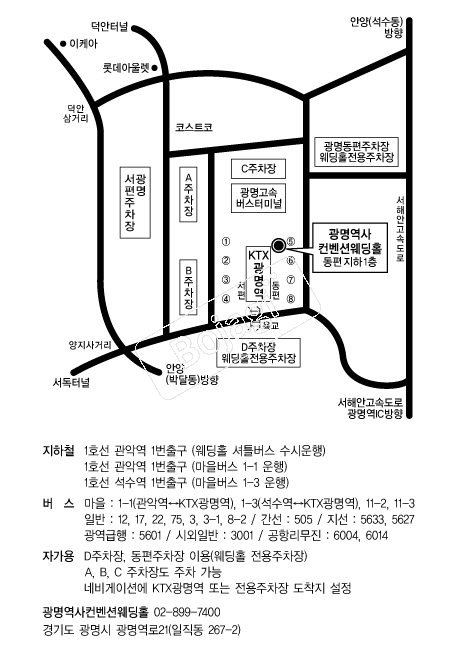 �������������ǿ���Ȧ �൵ ���ڱ� ī�� ûø�� 