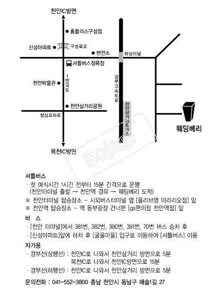 �������� �൵ ���ڱ� ī�� ûø�� 