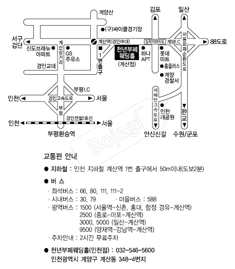õ��������Ȧ(��õ) �൵ ���ڱ� ī�� ûø�� 