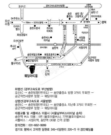 ������Ƽ�� �൵ ���ڱ� ī�� ûø�� 