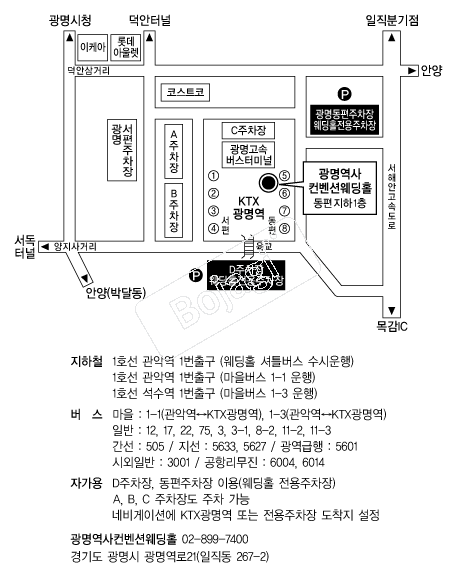 �������������ǿ���Ȧ �൵ ���ڱ� ī�� ûø�� 