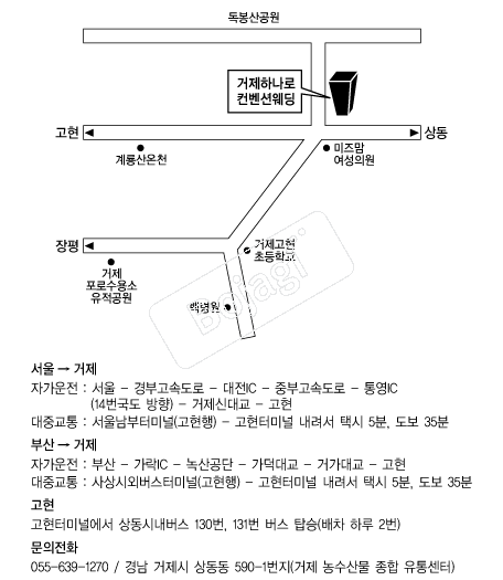 �����ϳ��������ǿ��� �൵ ���ڱ� ī�� ûø�� 