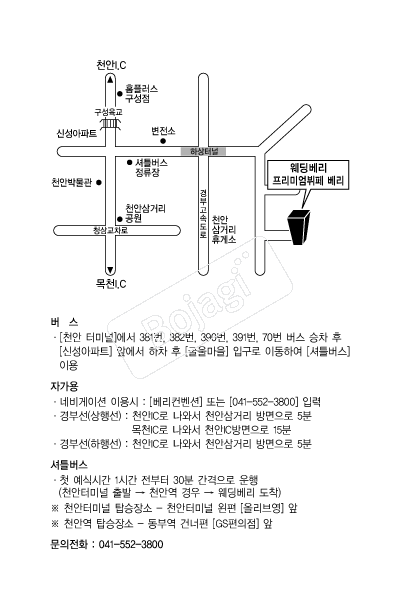 �������� �൵ ���ڱ� ī�� ûø�� 