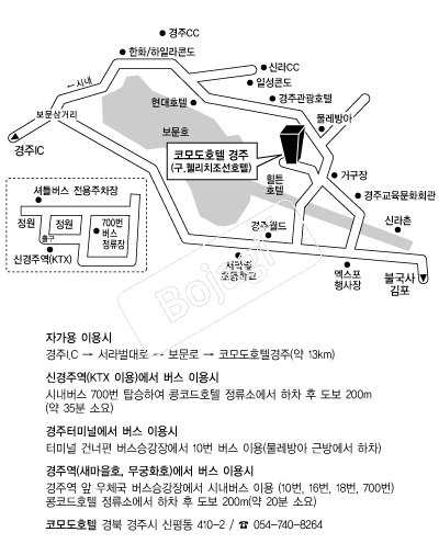 �ڸ�ȣ��(����) �൵ ���ڱ� ī�� ûø�� 