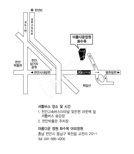 �Ƹ��ٿ�����ȭ����߿����� �൵ ���ڱ� ī�� ûø�� 