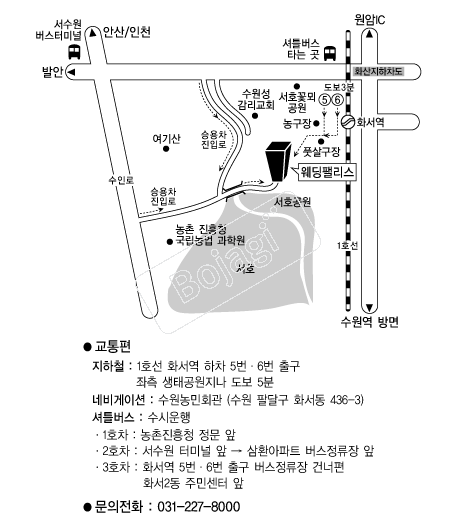 �����Ӹ���(����) �൵ ���ڱ� ī�� ûø�� 