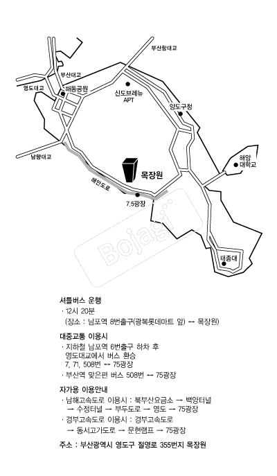 ����� �൵ ���ڱ� ī�� ûø�� 