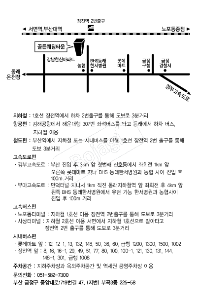 ������Ÿ�� �൵ ���ڱ� ī�� ûø�� 